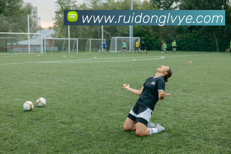 数据防护可视化